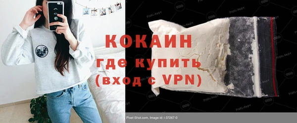 соль ск Арсеньев