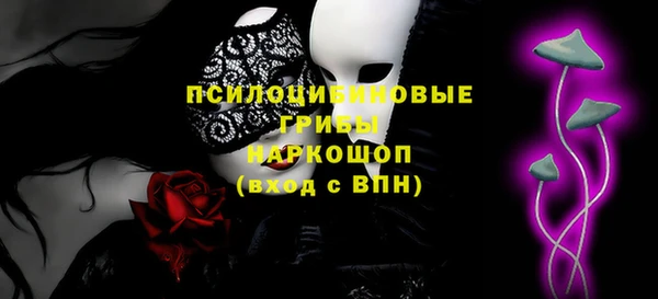 ГАЛЛЮЦИНОГЕННЫЕ ГРИБЫ Армянск