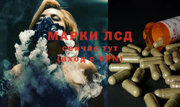 соль ск Арсеньев