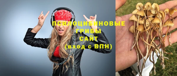 соль ск Арсеньев