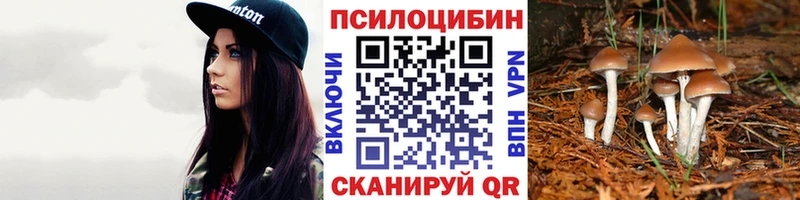 Псилоцибиновые грибы мицелий  Белгород 